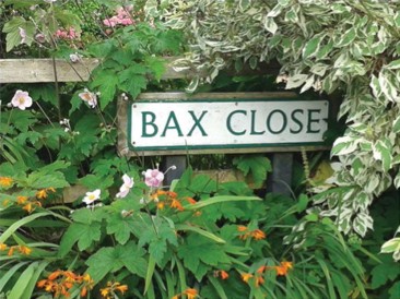 Bax-Close