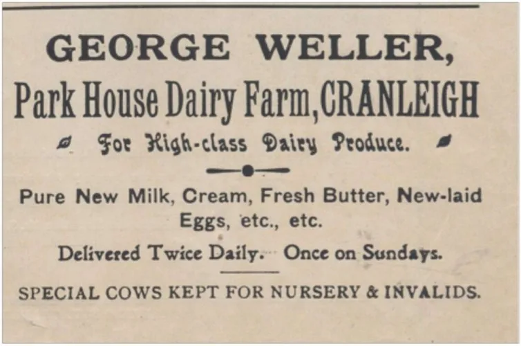 Dairy-Website