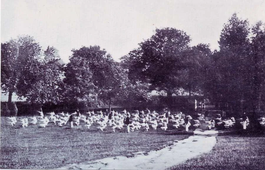 OTC PE display of summer 1918