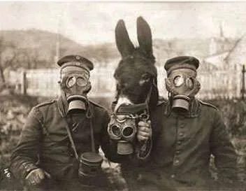 Gas masks
