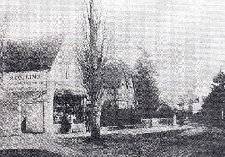 Collins, 1886