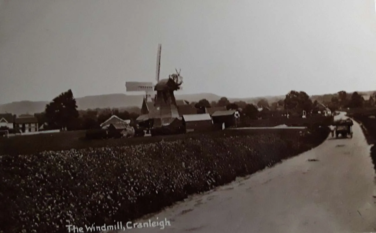 The Windmill