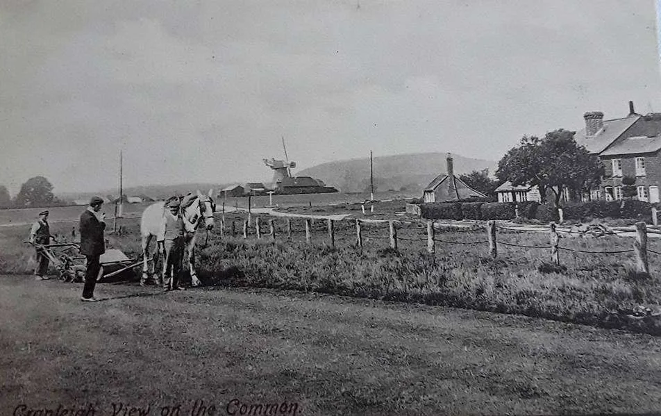 View on the Common