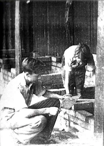 The Young Farmers Club