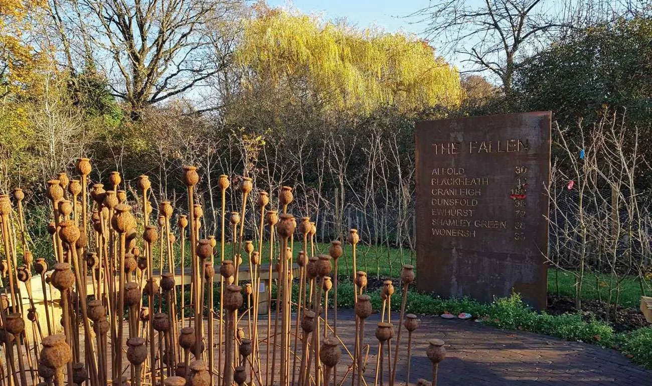 Poppy heads in the Centenary Garden