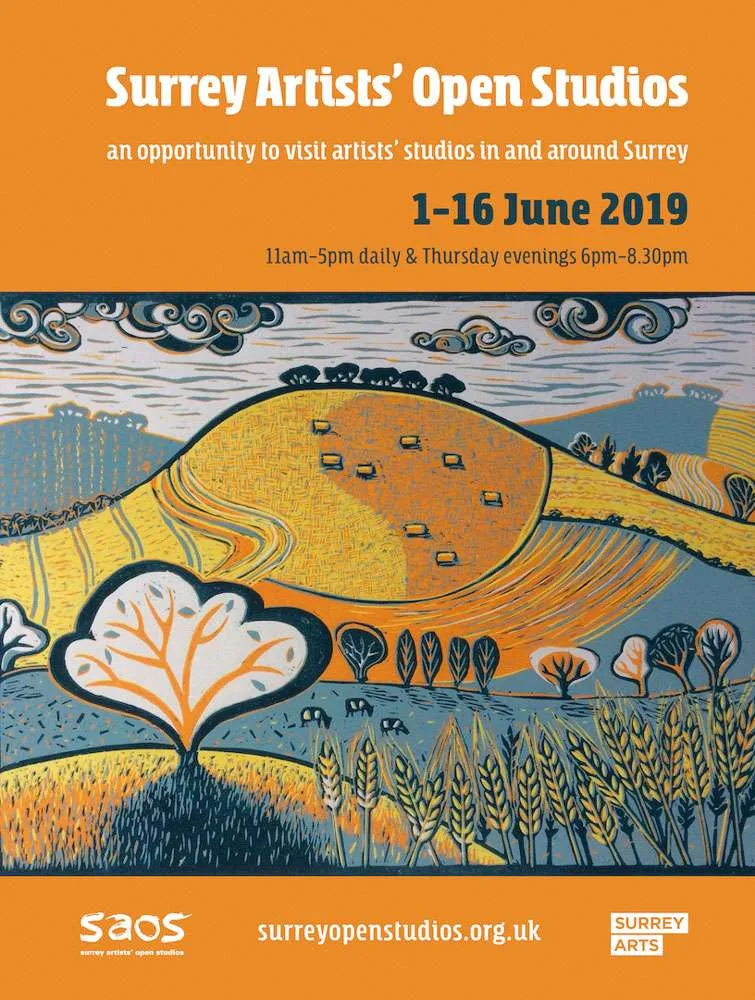 saos 2019 brochure cover