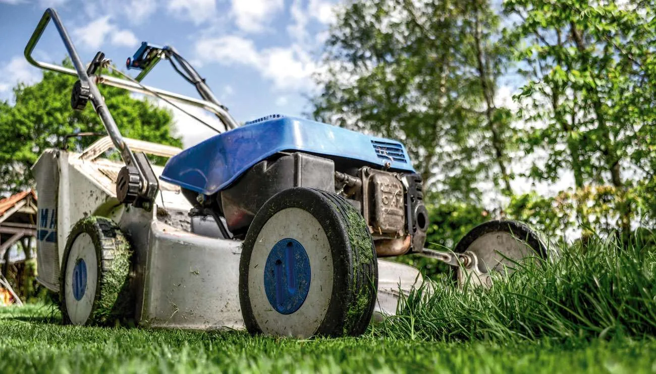 lawnmower 384589