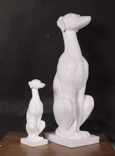 andpup