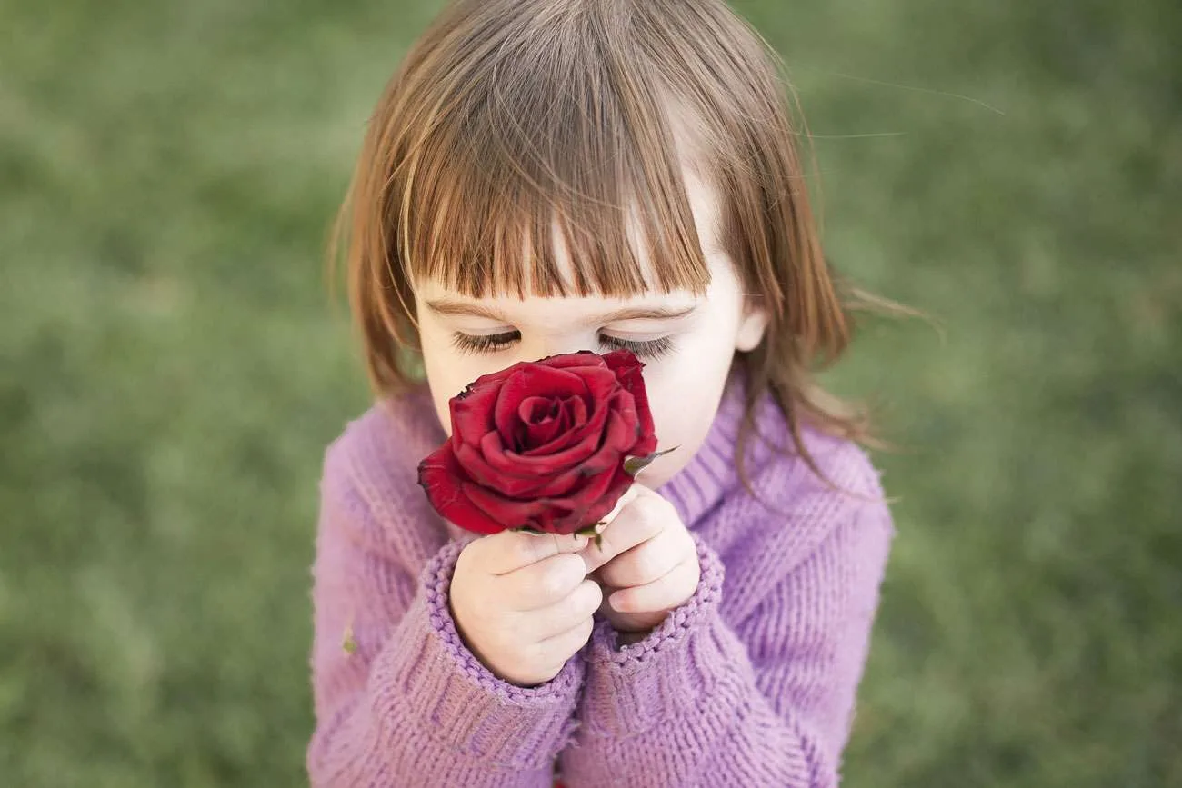 rose 1963807