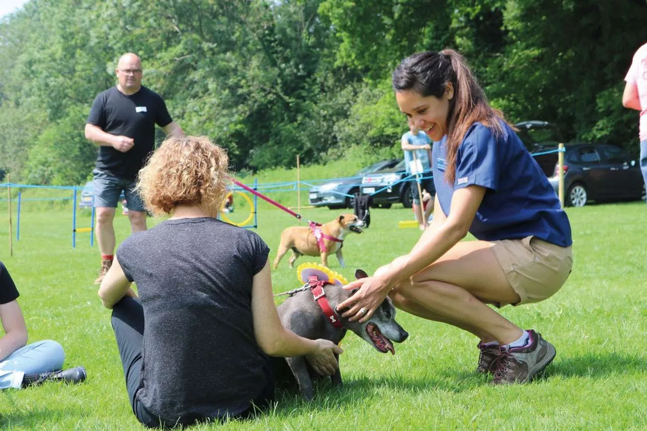 2018 Judging Chilworth Dog show