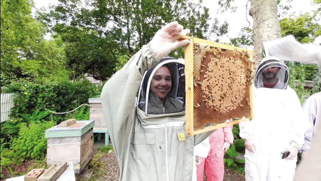 bee