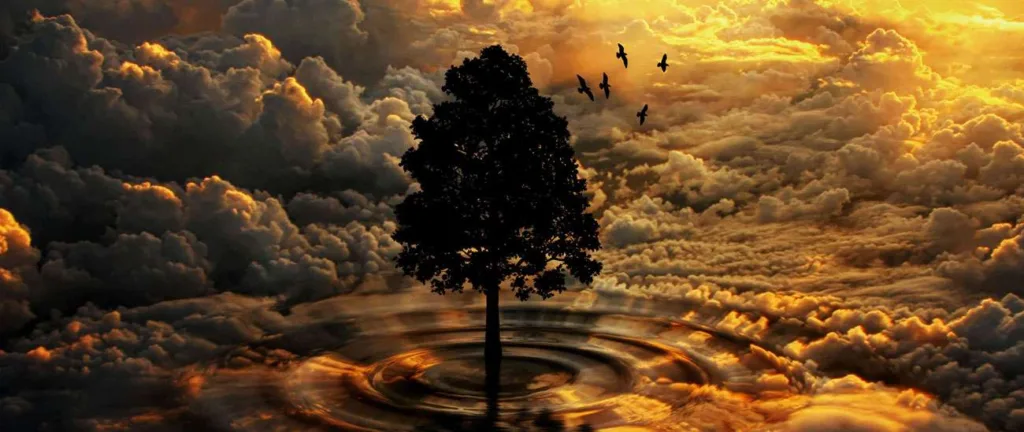 nature 4742132