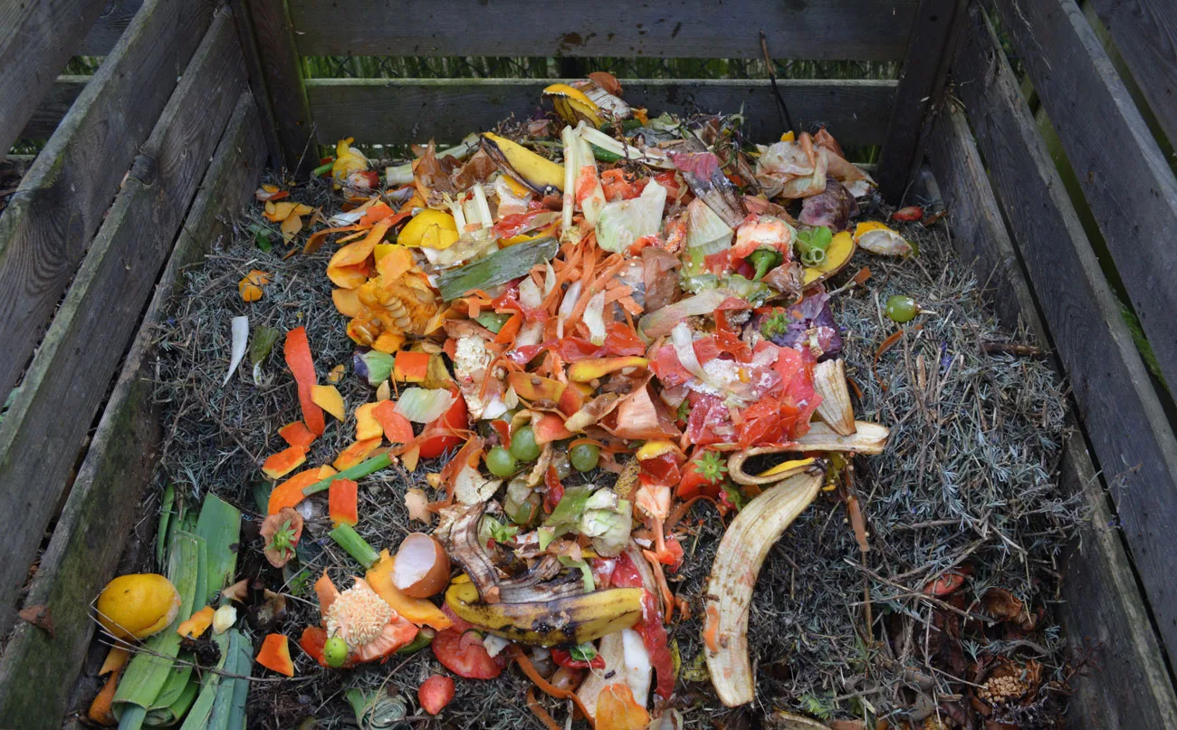 green waste 513609