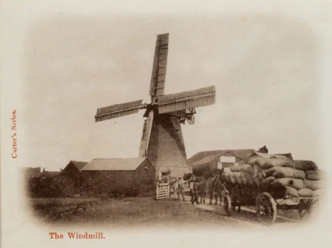 Cranleighs windmill in the late 19th century