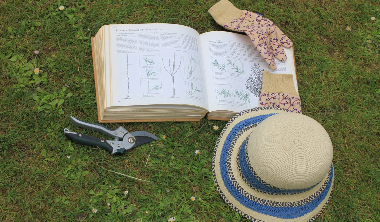 gardening 4184184