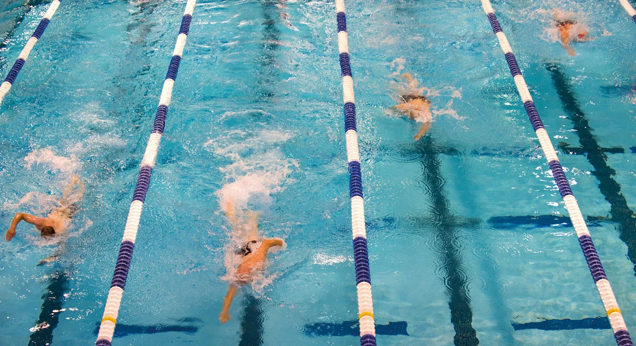 swimming 659903