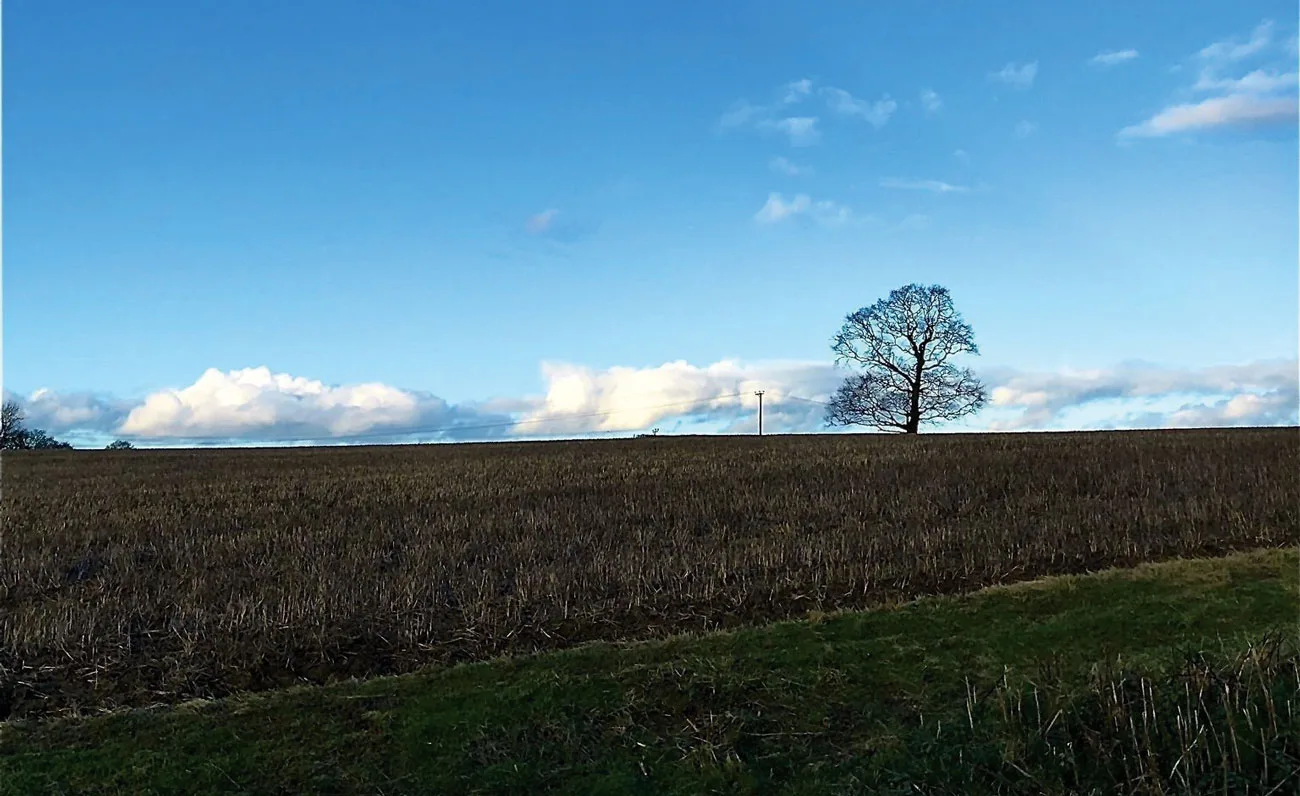 Richard Onslow Walk 3