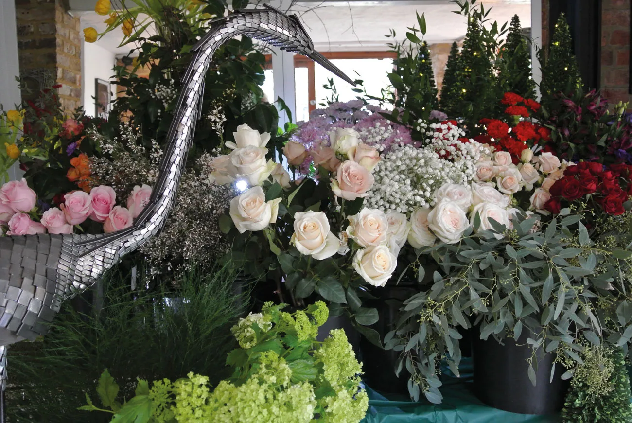 flower room 13 2 18 c