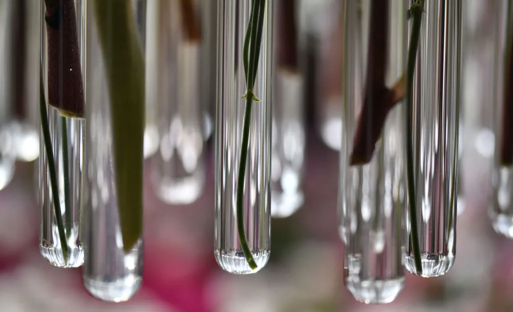 test tubes 4981004
