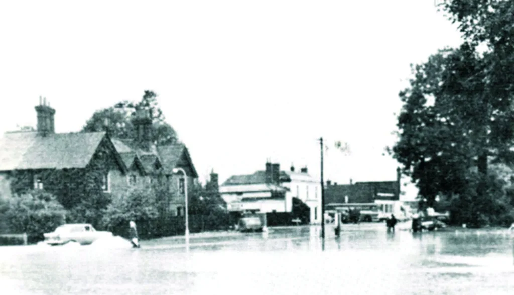 Brookmead (the vet’s) and Broadoak