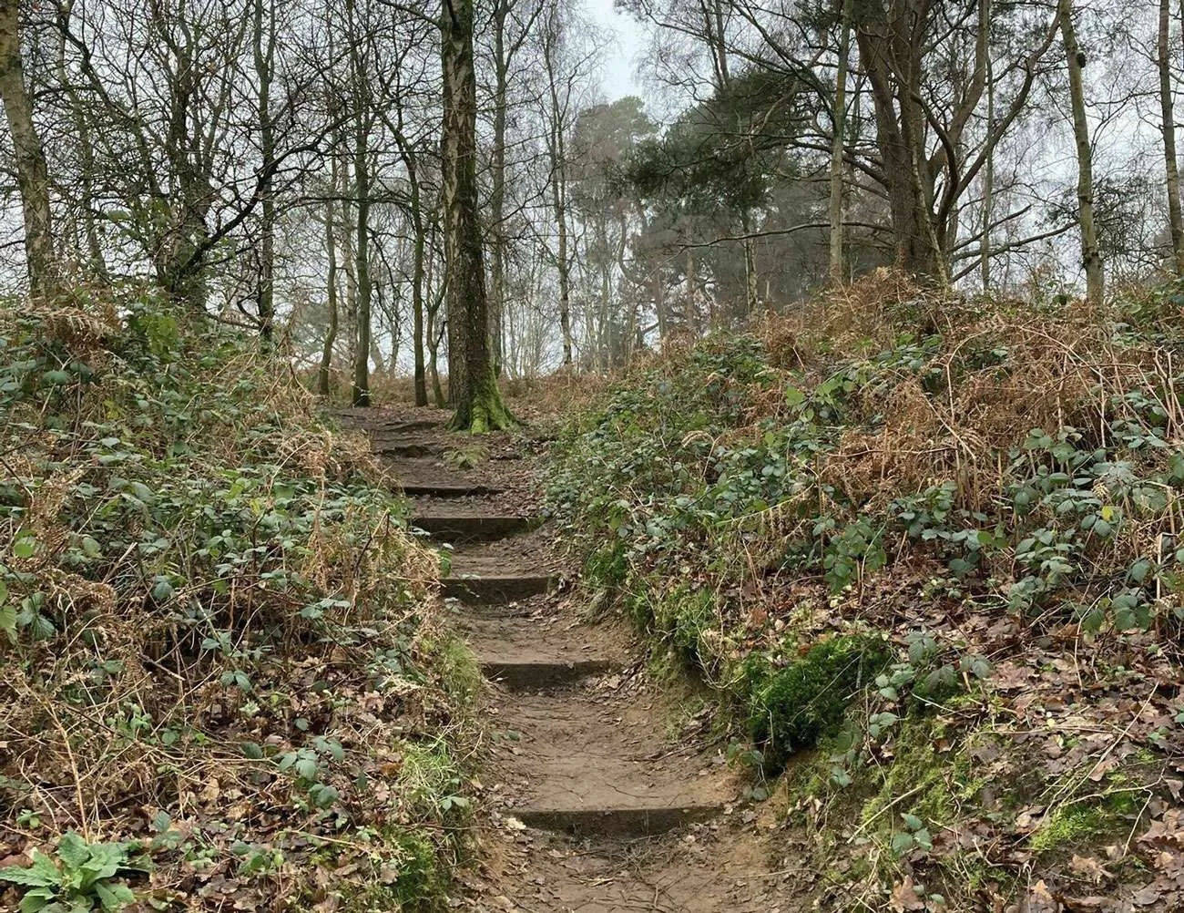 Chinthurst Hill 4