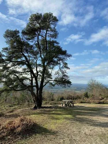 Leith Hill seat