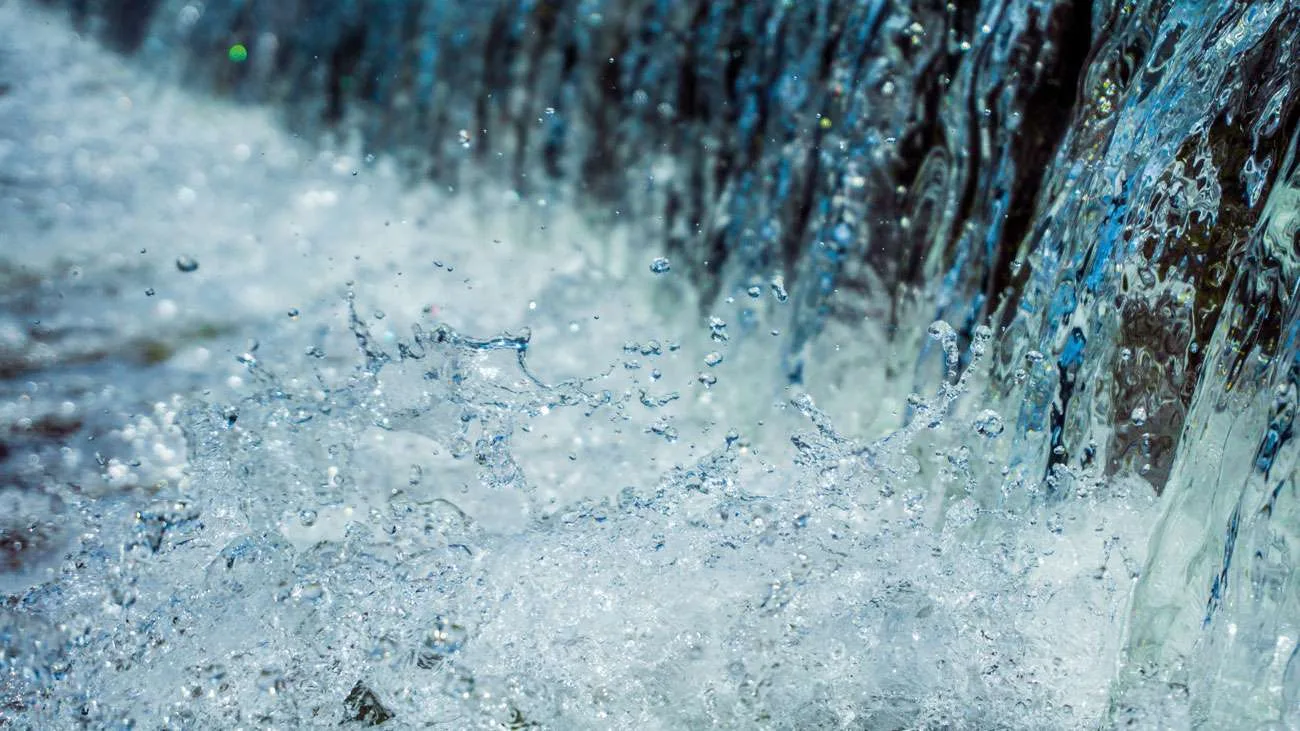 splash 1991842