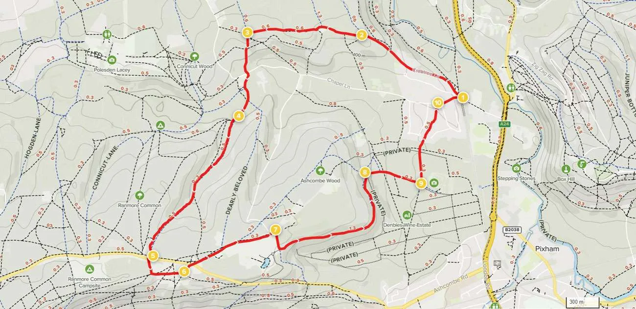 Ranmore Circular Map