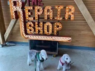The Repair Shop