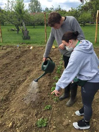 Allotment May 2021