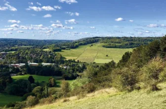 Counting Steps – Box Hill Stepping Stones Walk – AllTrails
