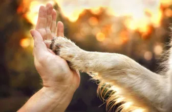 A True Best Friend! – Sara Bridgeman