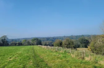 Counting Steps – Godalming and Eashing Circular – AllTrails
