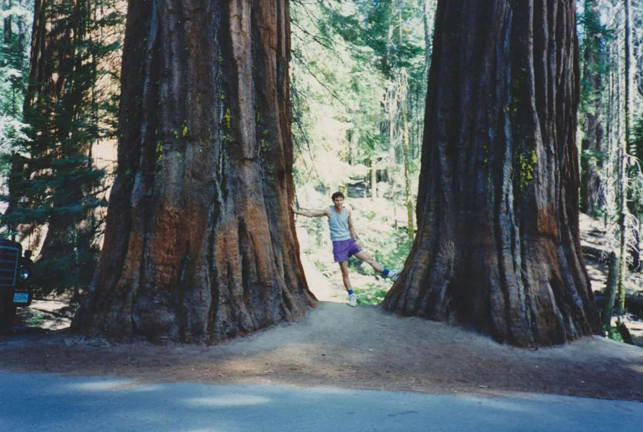 trees 001