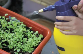 Garden Life – July 2022