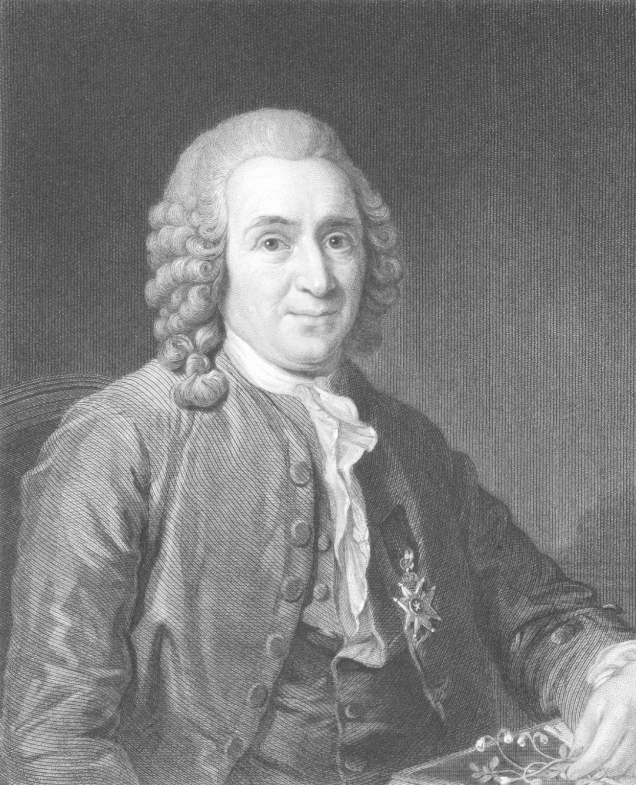 carllinnaeus Cranleigh Magazine