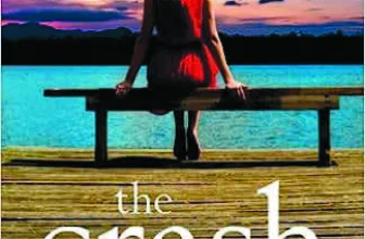 The Crash: An absolutely heartbreaking page-turner