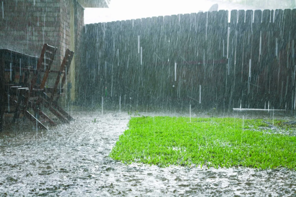 Heavy Rains In Backyard
