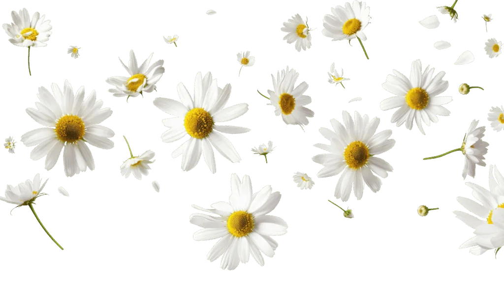 AdobeStock 981482834