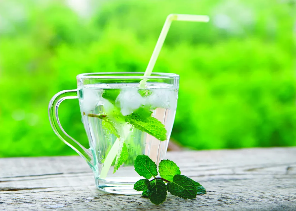 Cold drink with lemon and mint in a glass with straws