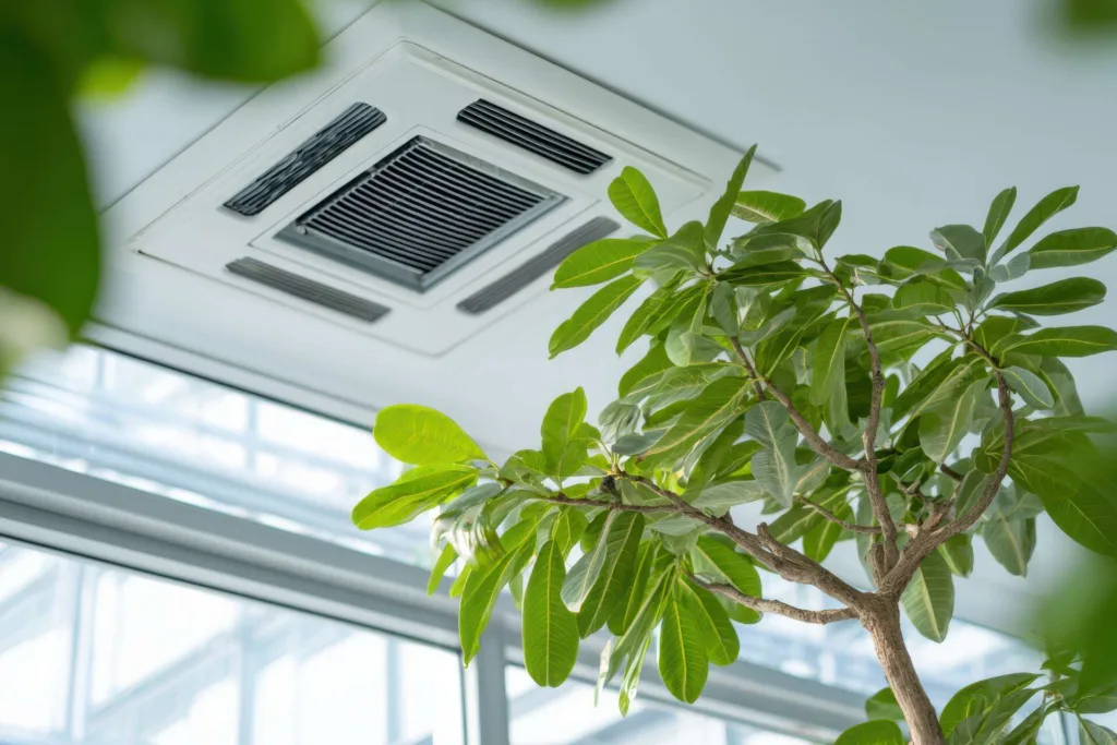 Cassette air conditioner on the ceiling in a modern light office or apartment with green ficus plant leaves. Indoor air quality and clean filters concept. MARYAM