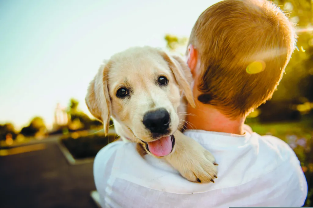 dog smile