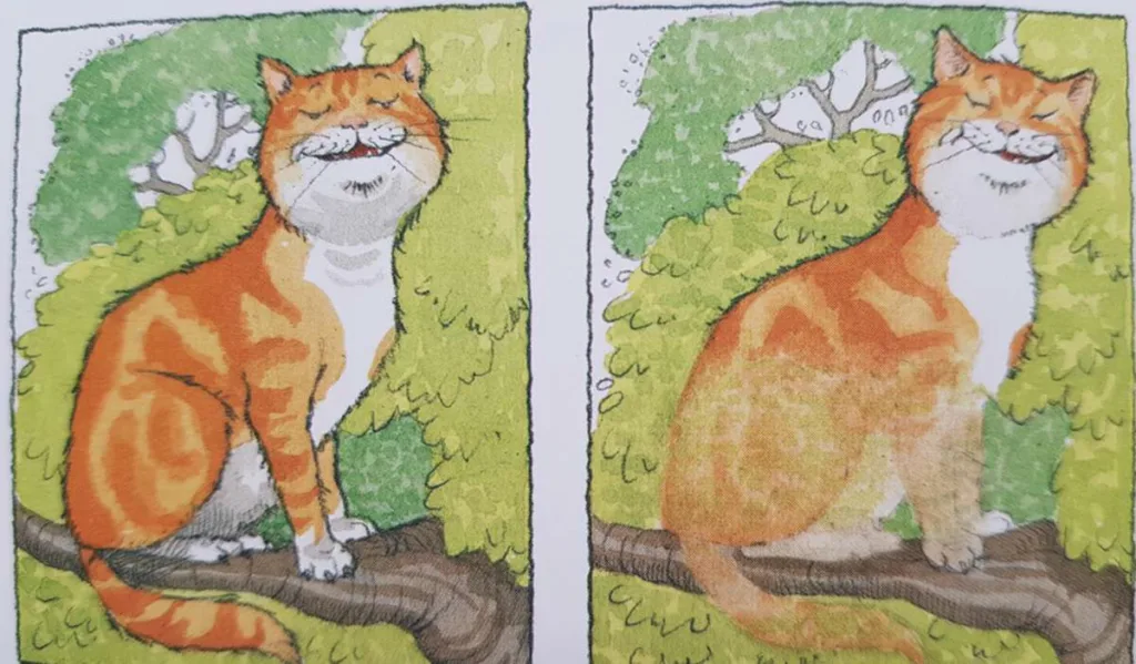 Cheshire cat 2