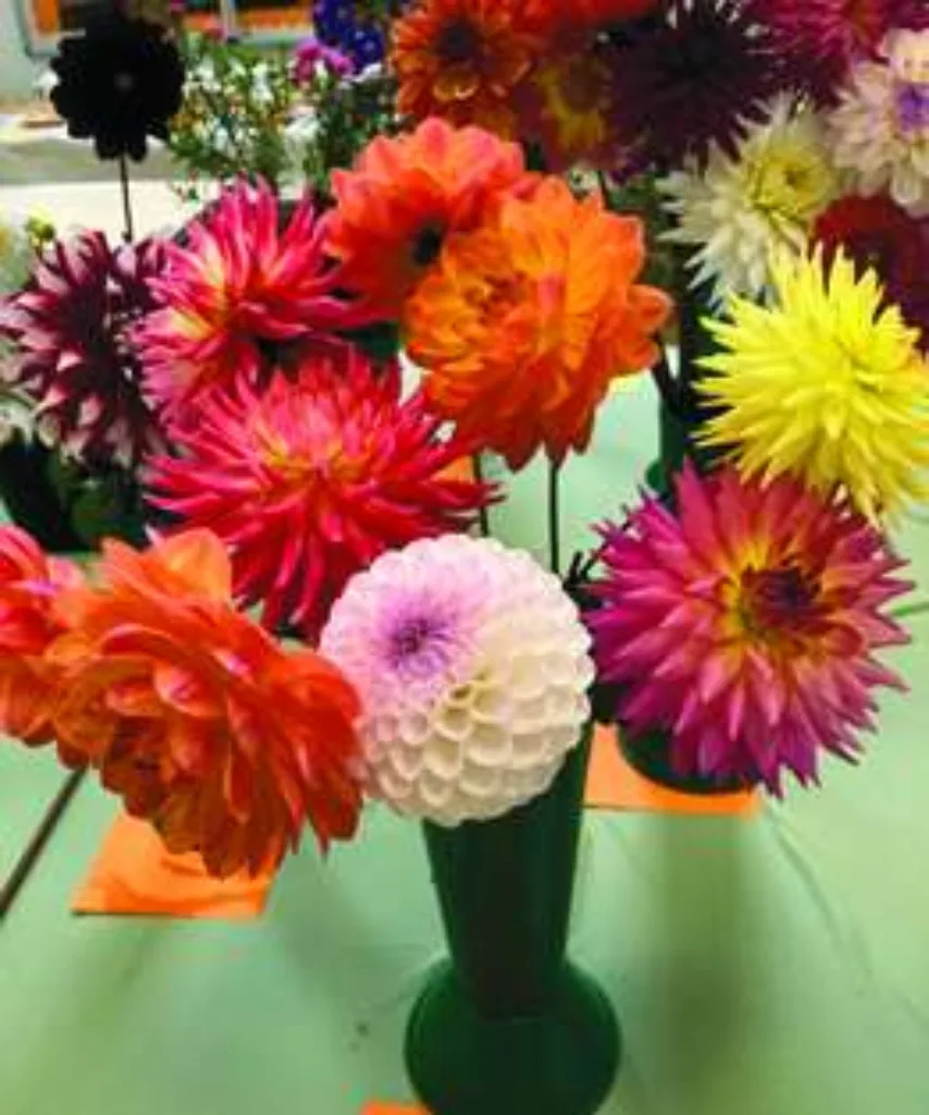 Flowers 2