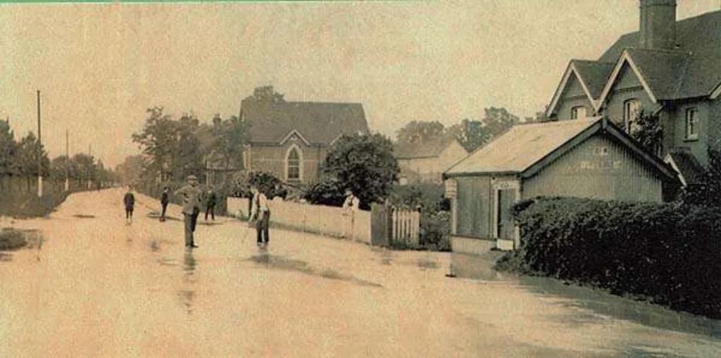Cranleigh Allotment 2