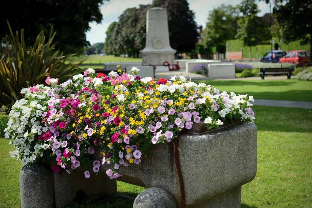 Cranleigh In Bloom