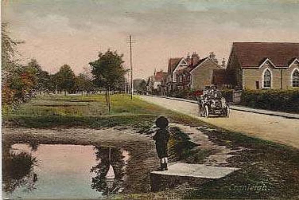 Cranleigh Pond