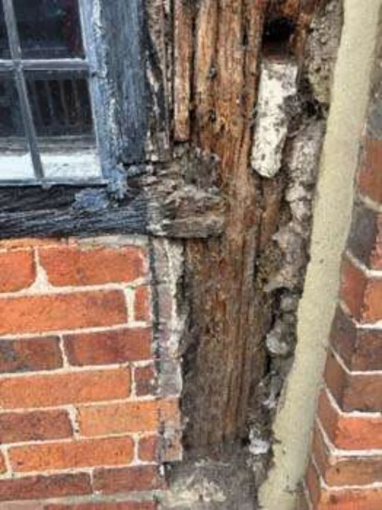 Hospital Fascia