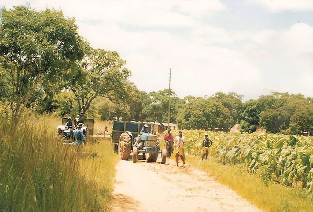 1999 farm 1