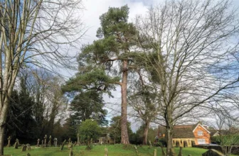 Wild Wonders – March 2026